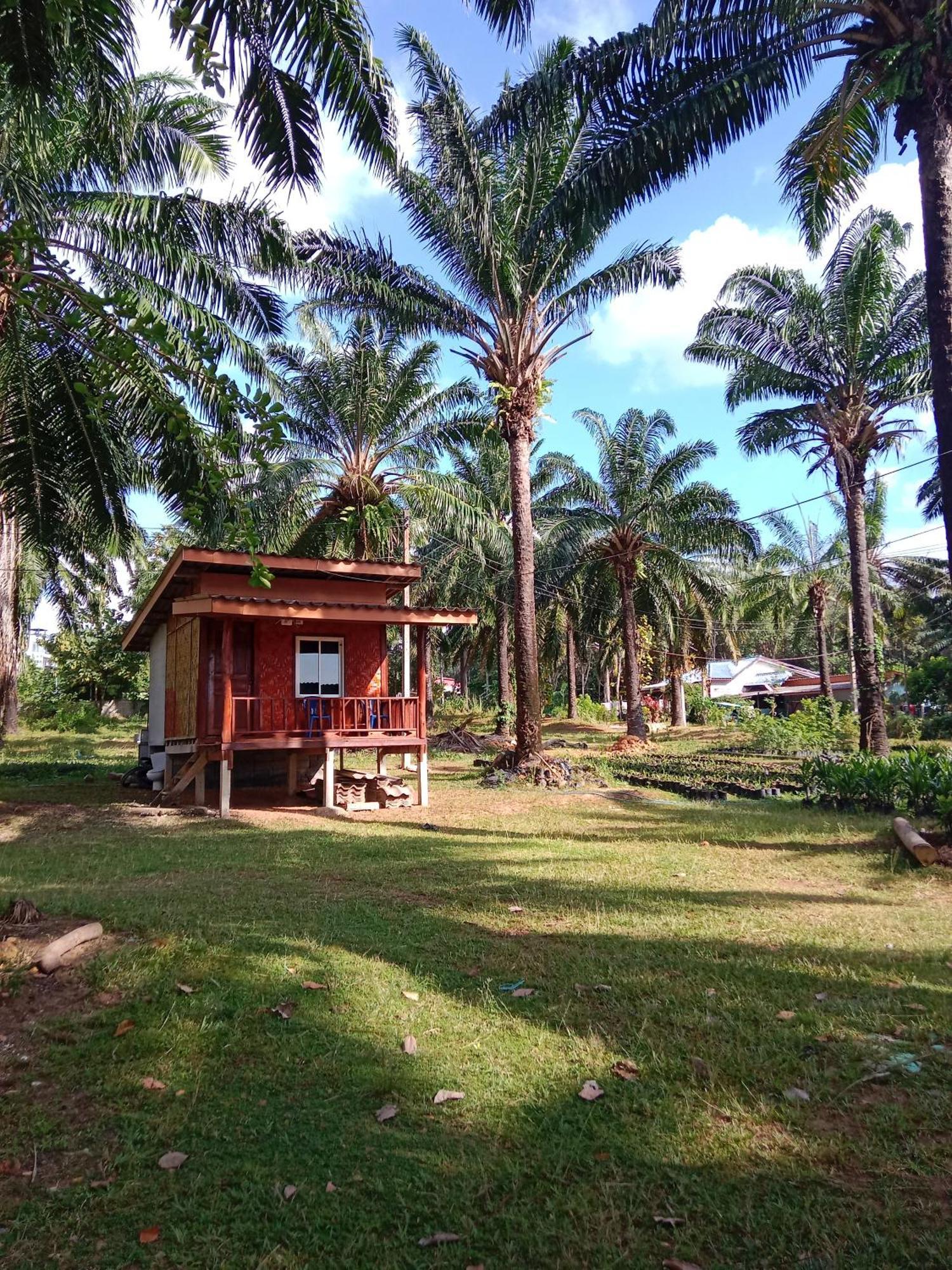 Hotel Som Palmgarden à Ko Lanta Extérieur photo