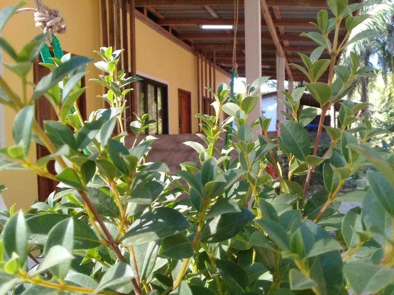 Hotel Som Palmgarden à Ko Lanta Extérieur photo